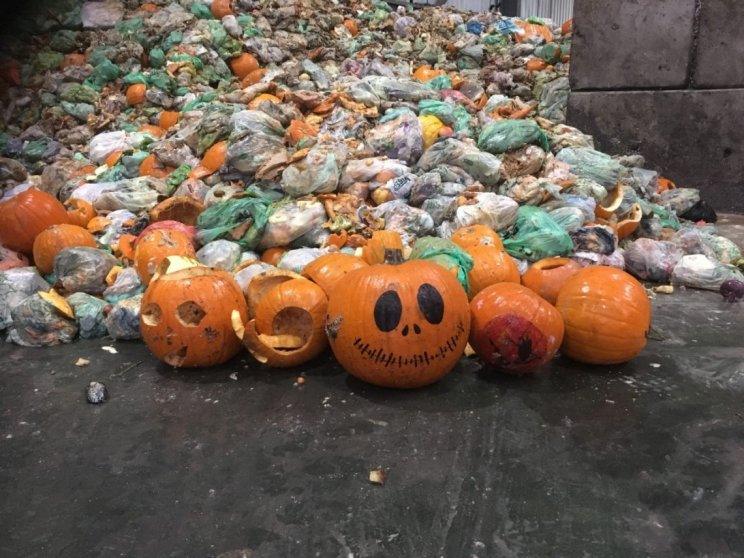 Severn Trent Green Power gears up for jump in pumpkin power this Severn Trent Green Power gears up for jump in pumpkin power this
