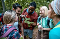 Can you help shape Westonbirt's future? Image