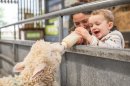 Spring activities at Cotswold Farm Park  Image