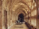Gloucester Cathedral begins conservation of cloister Image