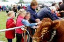 Turn your eyes to the skies at Moreton Show Image