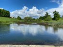 National Trust shares plans for Sherborne wetlands Image